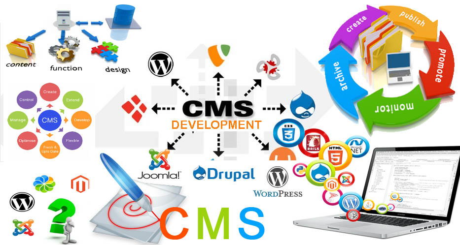 content management system, lucknow