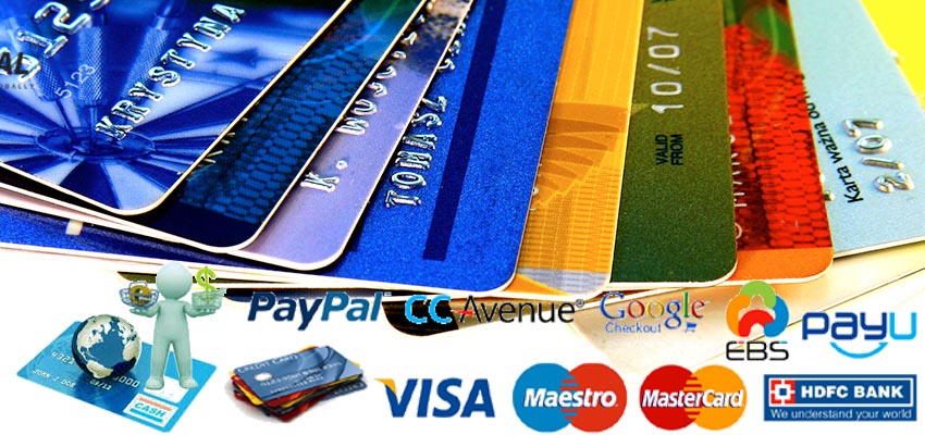 Payment Gateway company lucknow